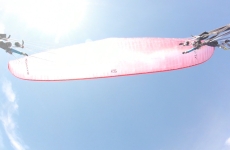 Ozone LM6 MS